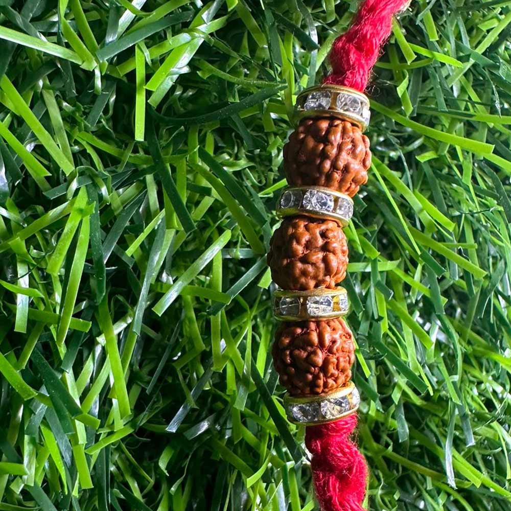 Raksha Rudraksh Simple Rakhi (Pack of 4) - Image 3