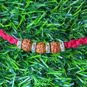 Raksha Rudraksh Simple Rakhi (Pack of 4)